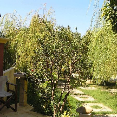 Anemomili Village Κίσσαμος Εξωτερικό φωτογραφία